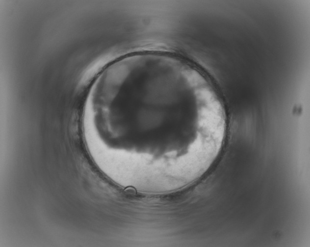 X0000112831455200909111346