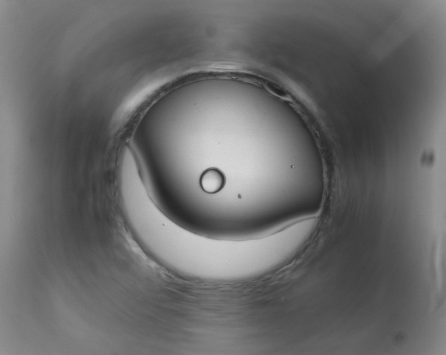 X0000112831456200909111346