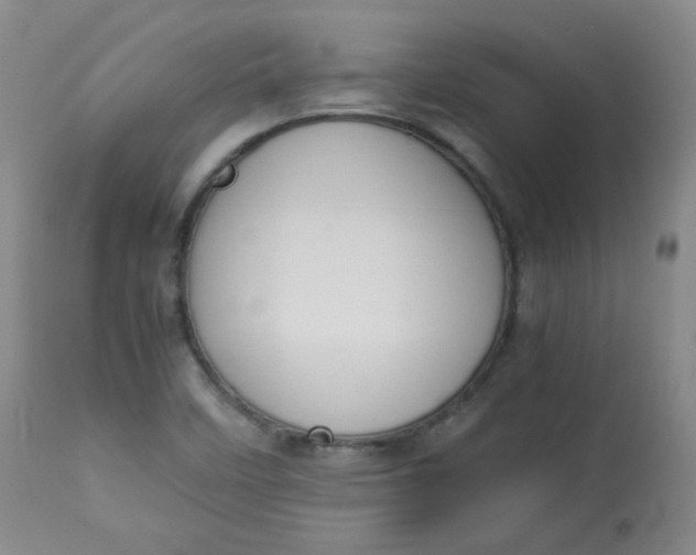 X0000112831458200909111346