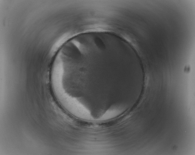 X0000112831459200909111346