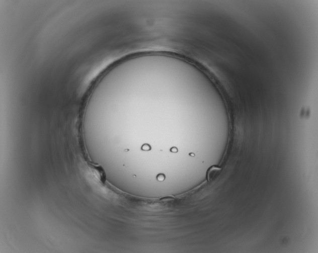 X0000112831460200909111346