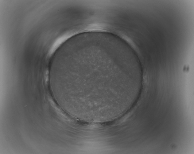 X0000112831461200909111346