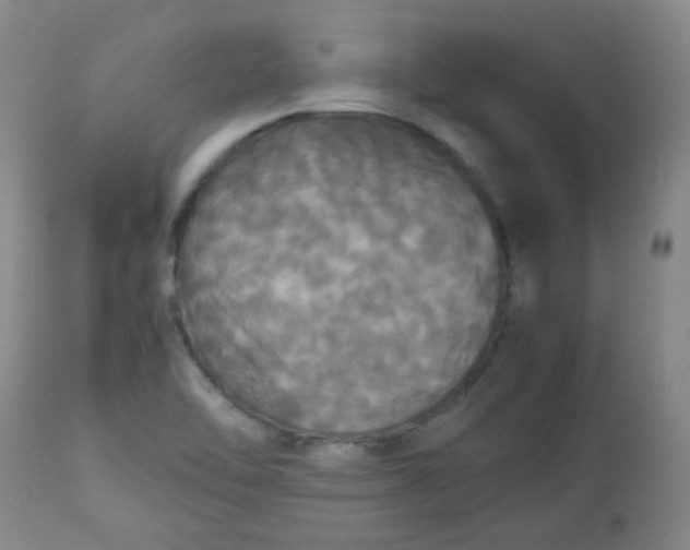 X0000112831462200909111346