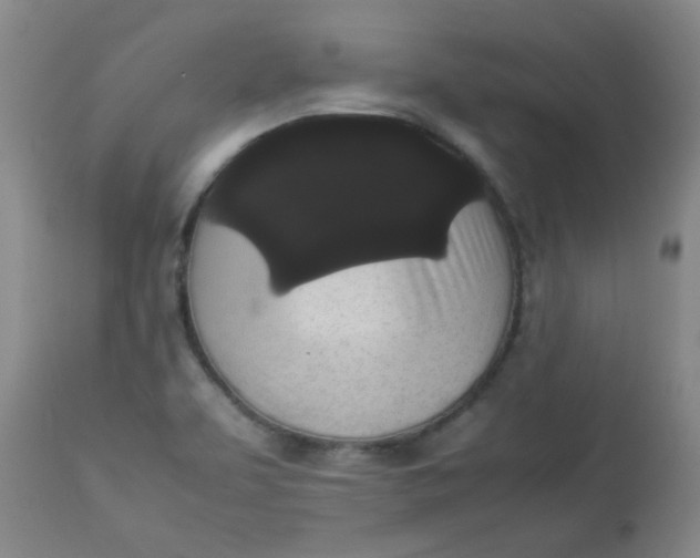 X0000112831463200909111346