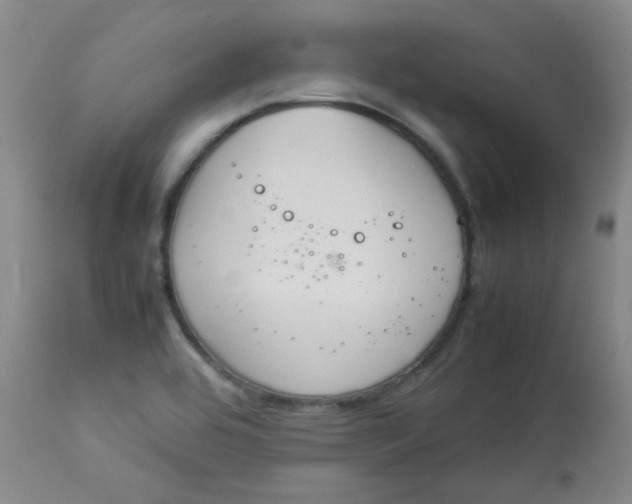 X0000112831464200909111346