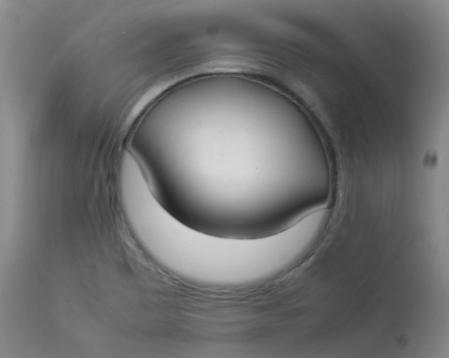 X0000112831465200909111346