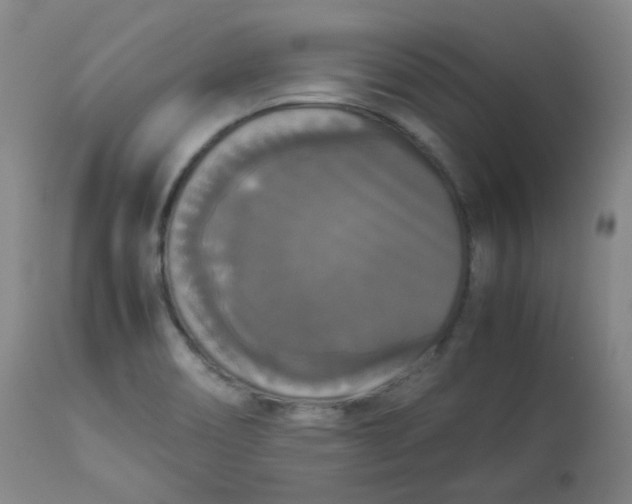 X0000112831466200909111346