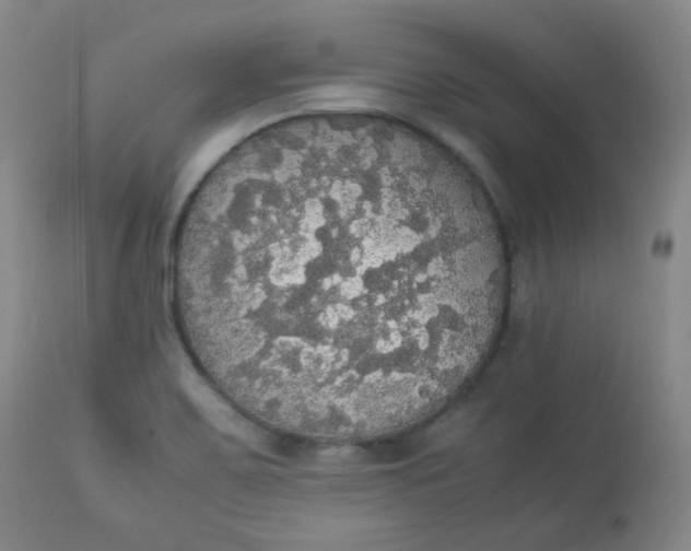 X0000112831467200909111346