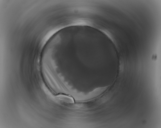 X0000112831468200909111345