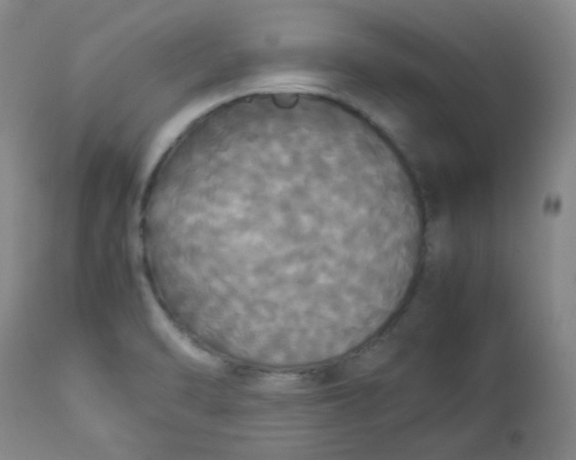 X0000112831470200909111345