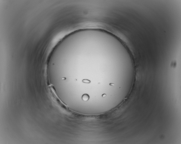 X0000112831472200909111345