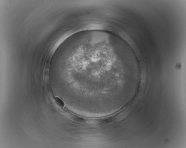 X0000112831473200909111345