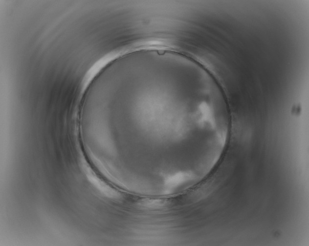 X0000112831474200909111345