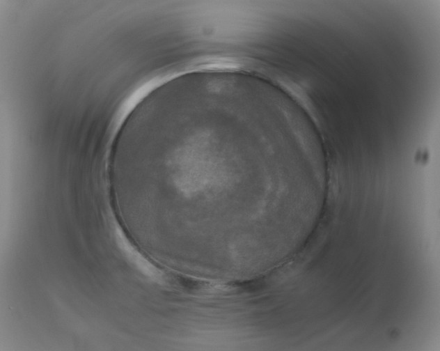 X0000112831475200909111345