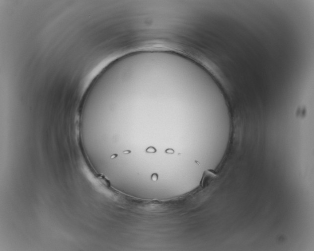 X0000112831476200909111345