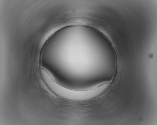 X0000112831477200909111345