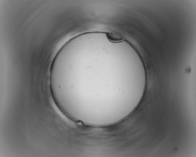 X0000112831479200909111345