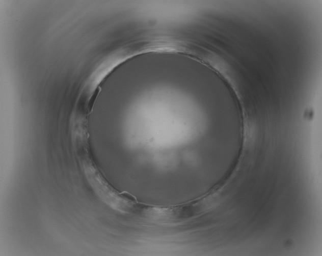 X0000112831481200909111345