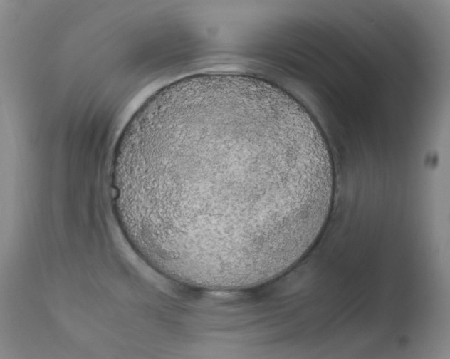 X0000112831483200909111345