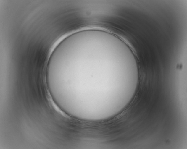 X0000112831484200909111345