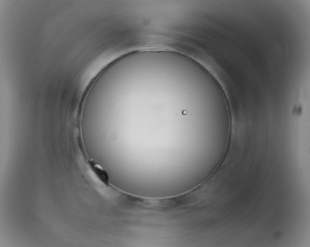 X0000112831485200909111345