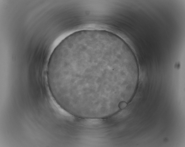 X0000112831486200909111345