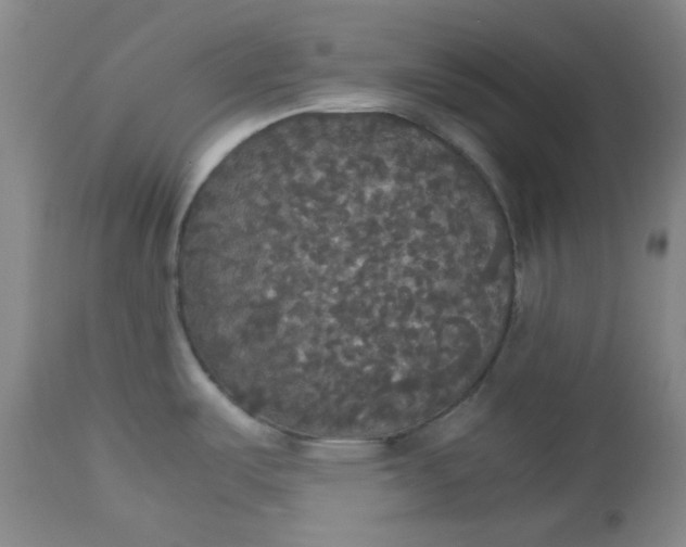 X0000112831487200909111345