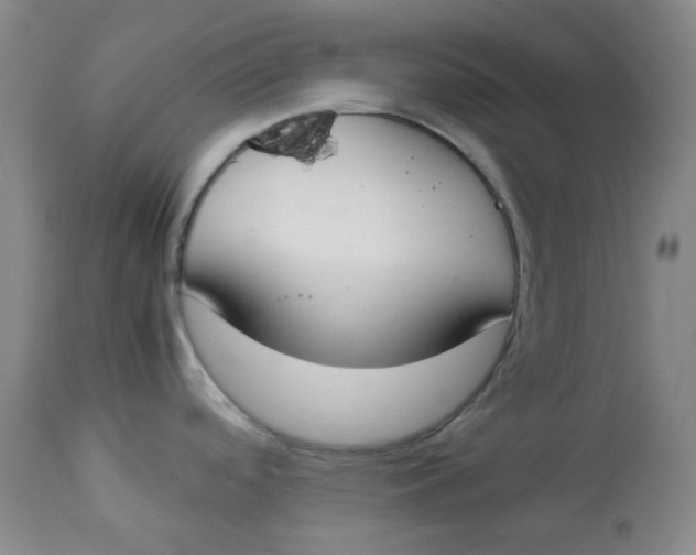 X0000112831488200909111345