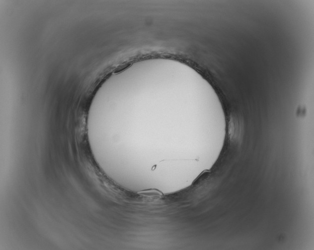 X0000112831492200909111345