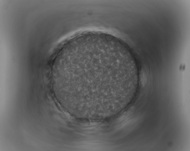 X0000112831494200909111345