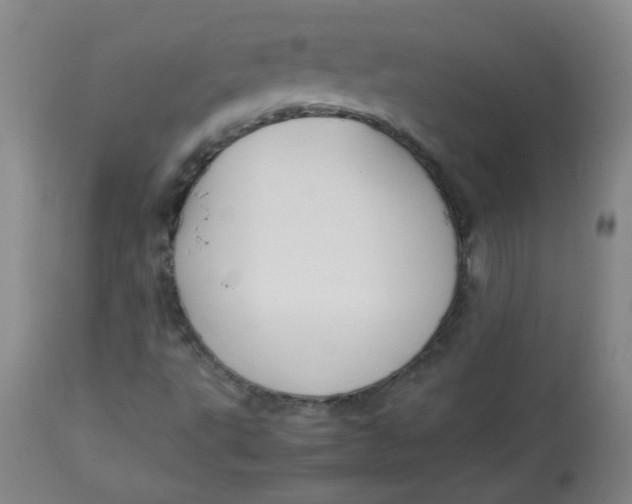 X0000112831495200909111345