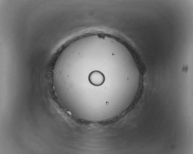 X0000112831496200909111345