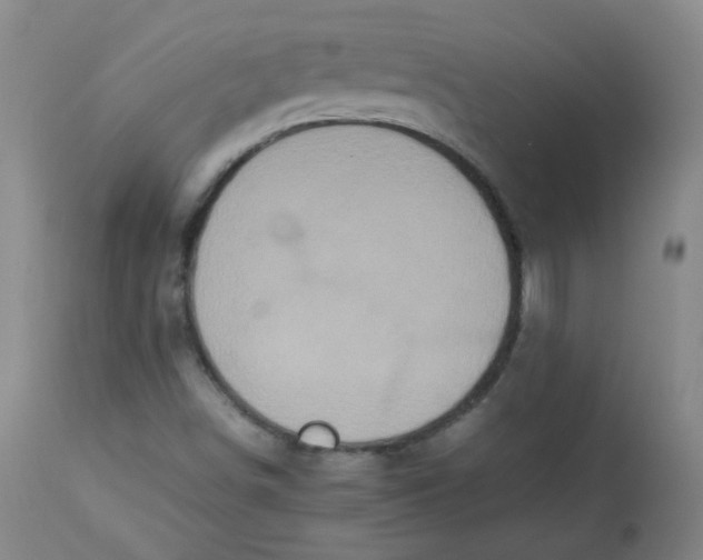 X0000112831498200909111345