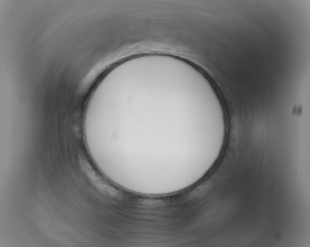 X0000112831499200909111345