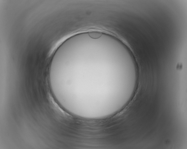 X0000112831500200909111345