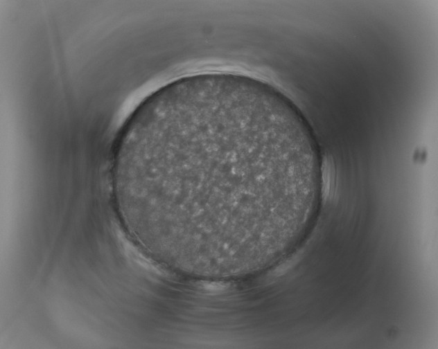 X0000112831501200909111345