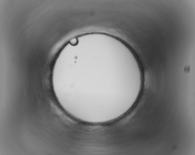 X0000112831502200909111345