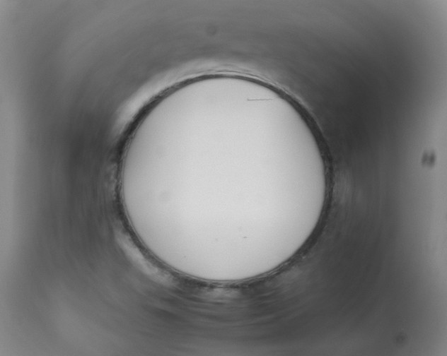 X0000112831503200909111345