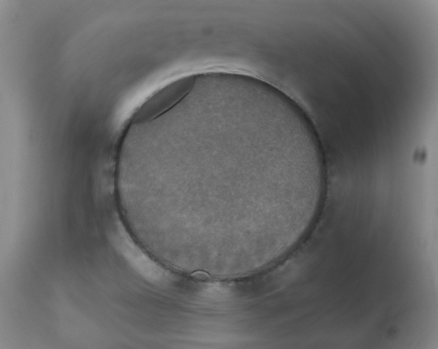 X0000112831504200909111345