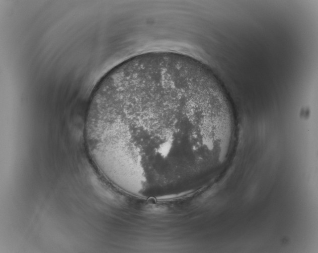 X0000112831505200909111345