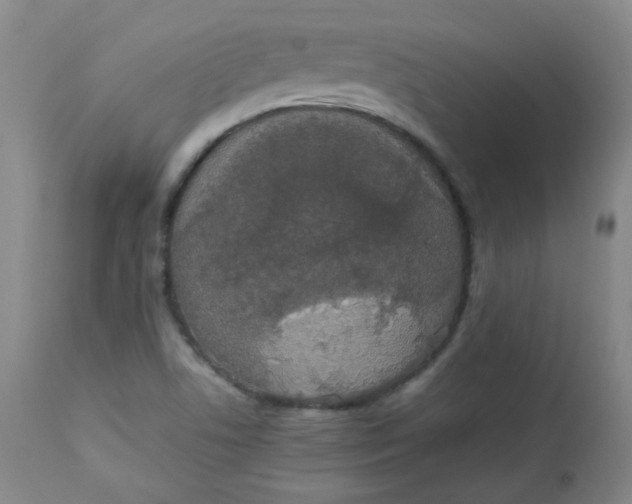 X0000112831506200909111345