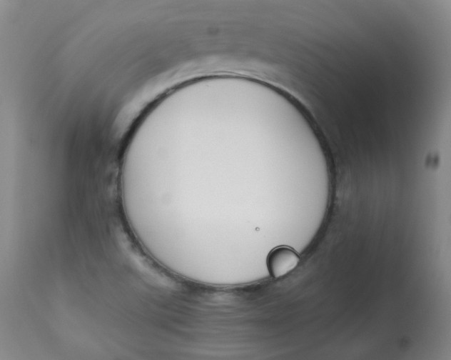 X0000112831507200909111345