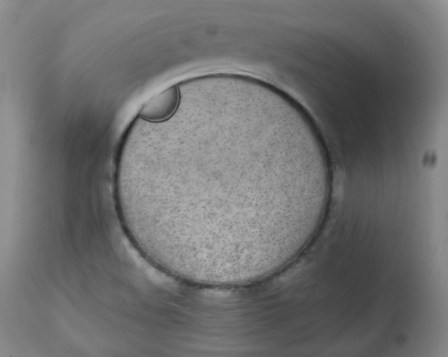 X0000112831508200909111345