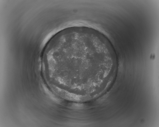 X0000112831509200909111345