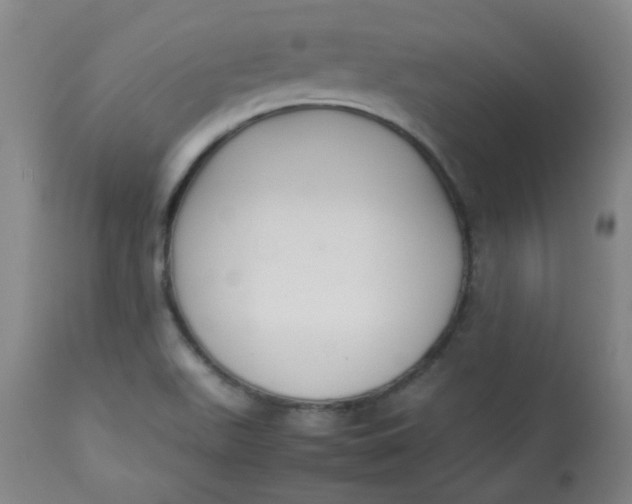 X0000112831511200909111345