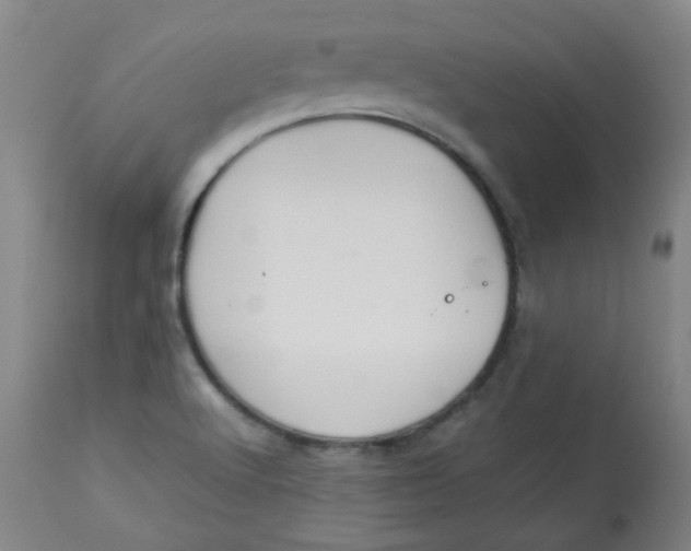 X0000112831512200909111345