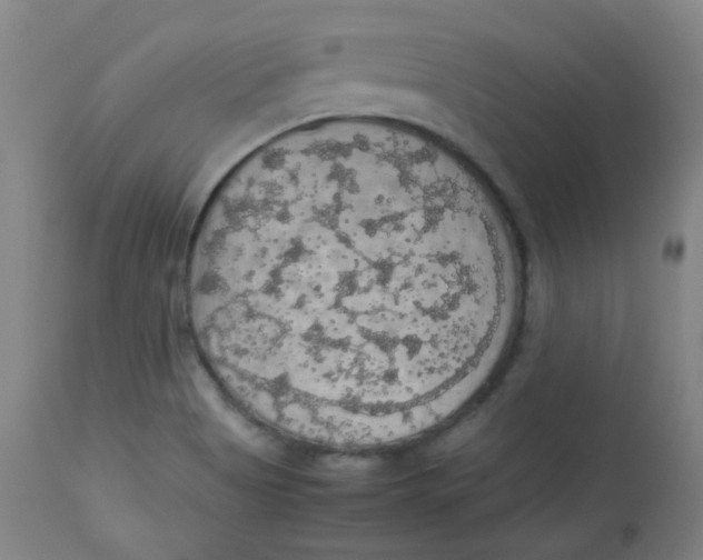 X0000112831513200909111345