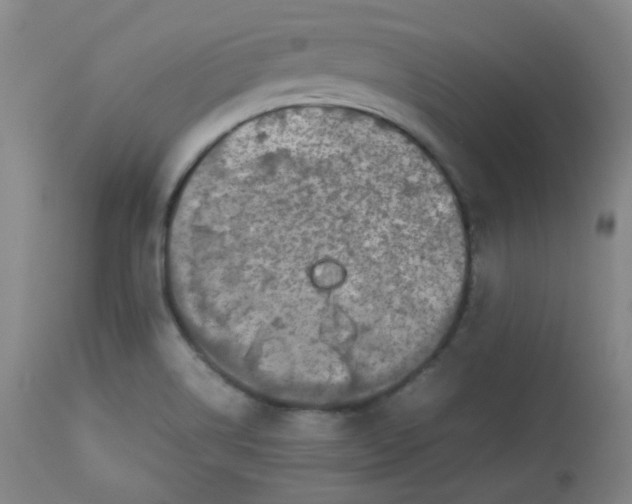 X0000112831514200909111345