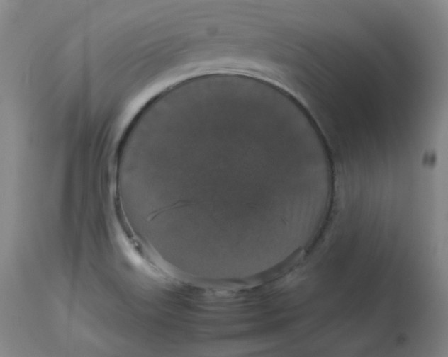 X0000112831515200909111345