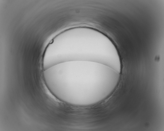 X0000112831516200909111345